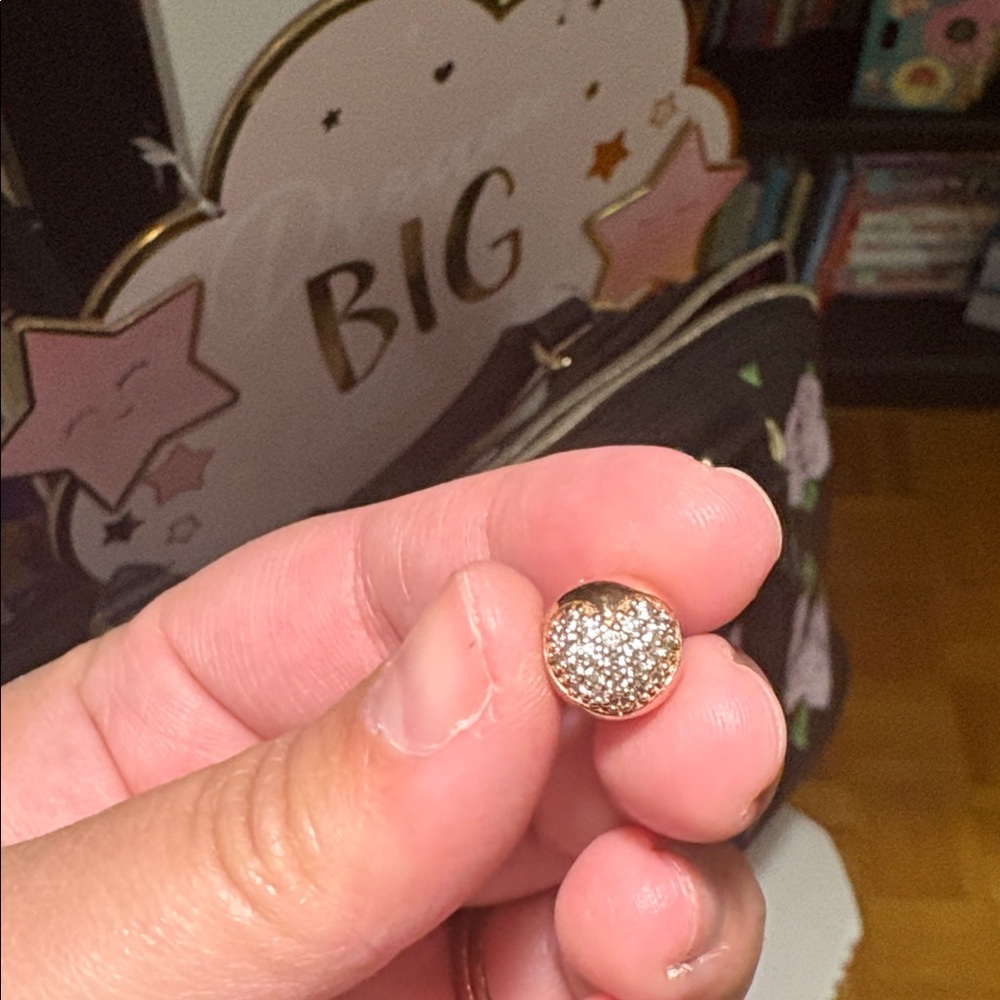 PANDORA Rose Love of My Life Clip 781053cz